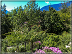 foto Giardini Trauttmansdorff - Paesaggi dell'Alto Adige